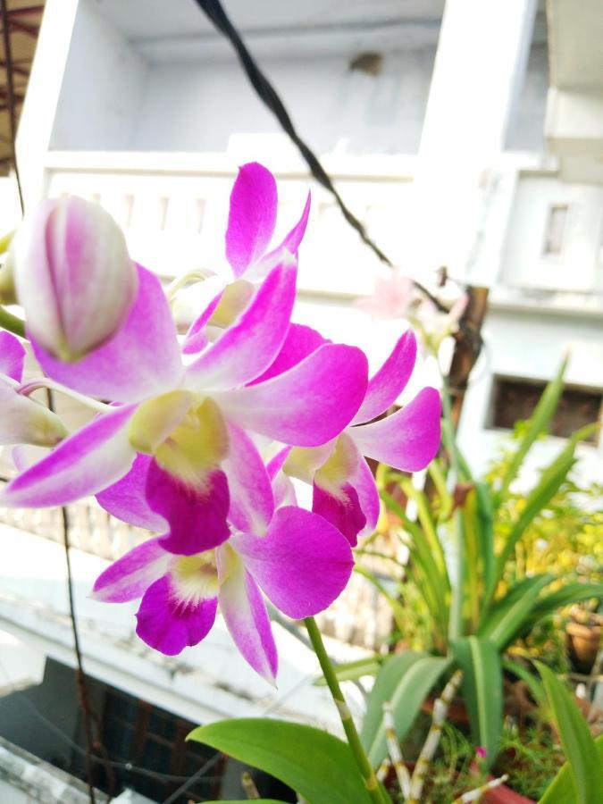 Heather Home Stay Kochi Zewnętrze zdjęcie