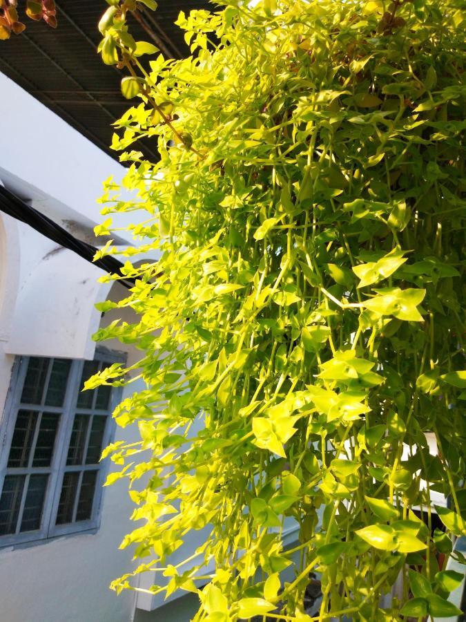 Heather Home Stay Kochi Zewnętrze zdjęcie